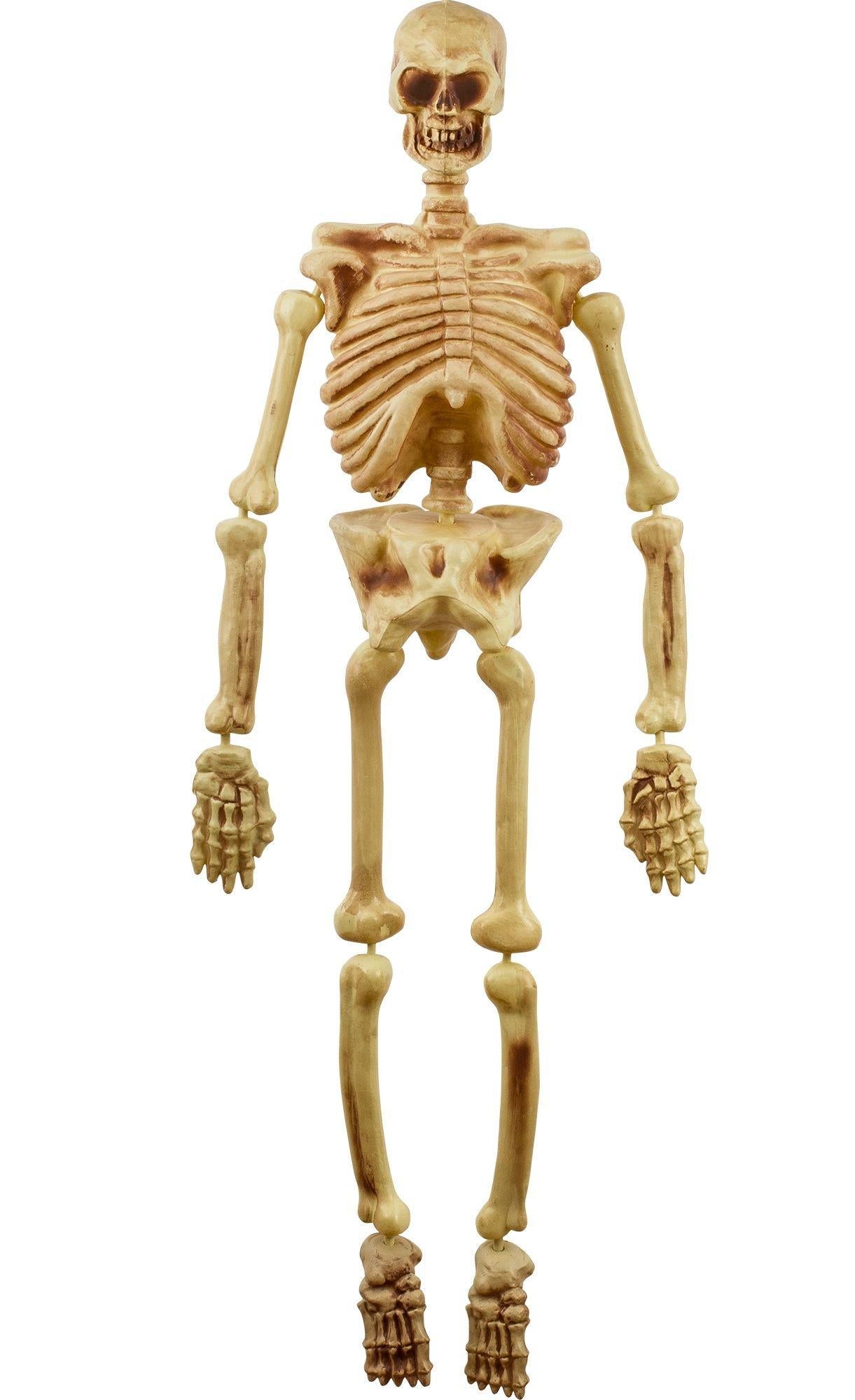 Hanging Plastic Skeleton, 5ft
