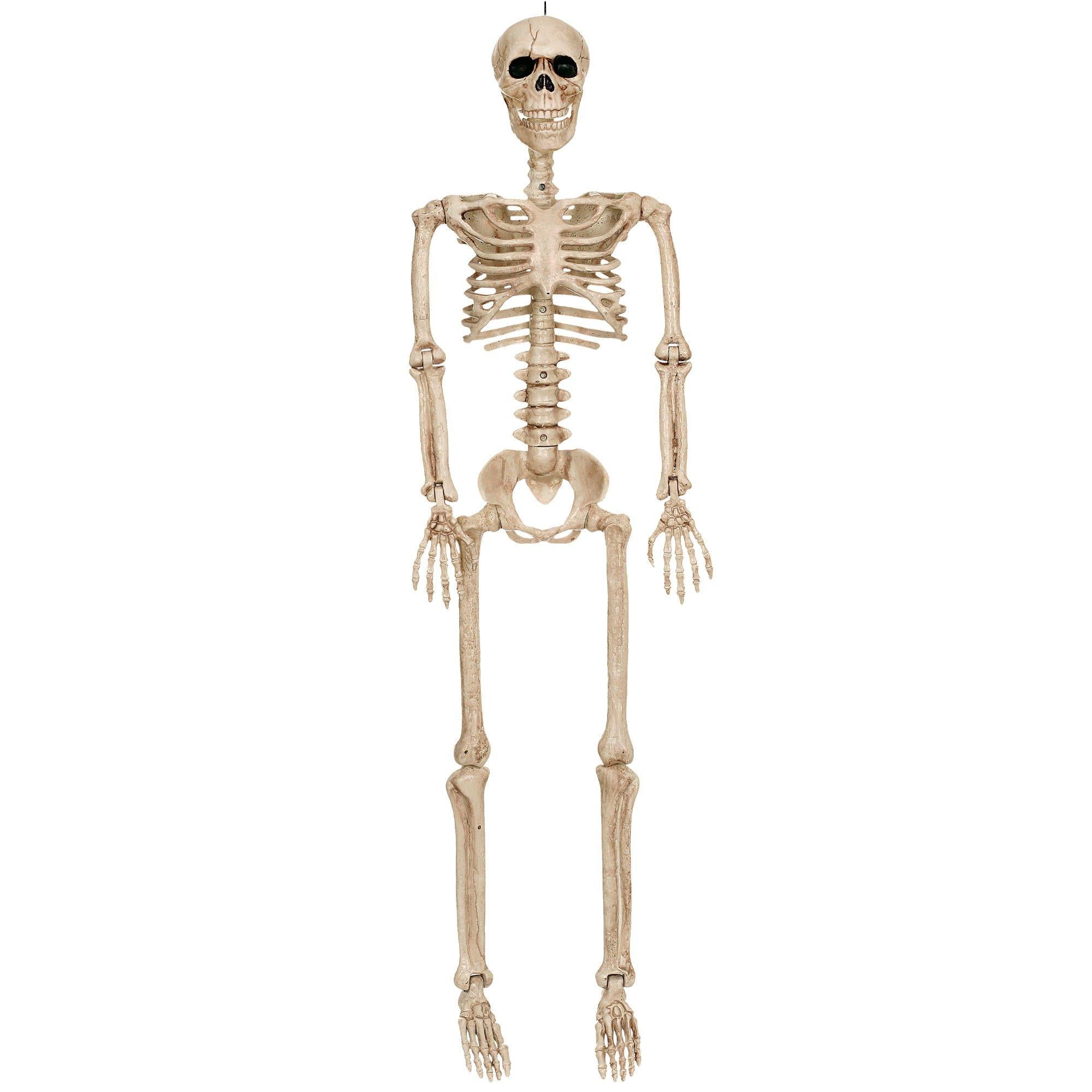 Realistic Hanging Skeleton, 3ft - Halloween Decoration